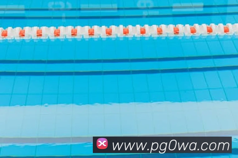 nba投注网站APP 封面图